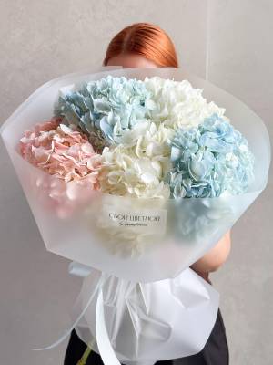 Микс гортензий 5 шт №501