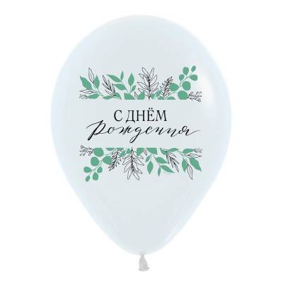 Воздушный шар "Ботаника"